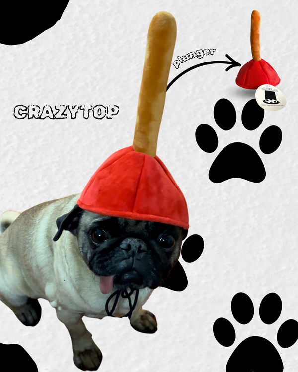 CrazyTop